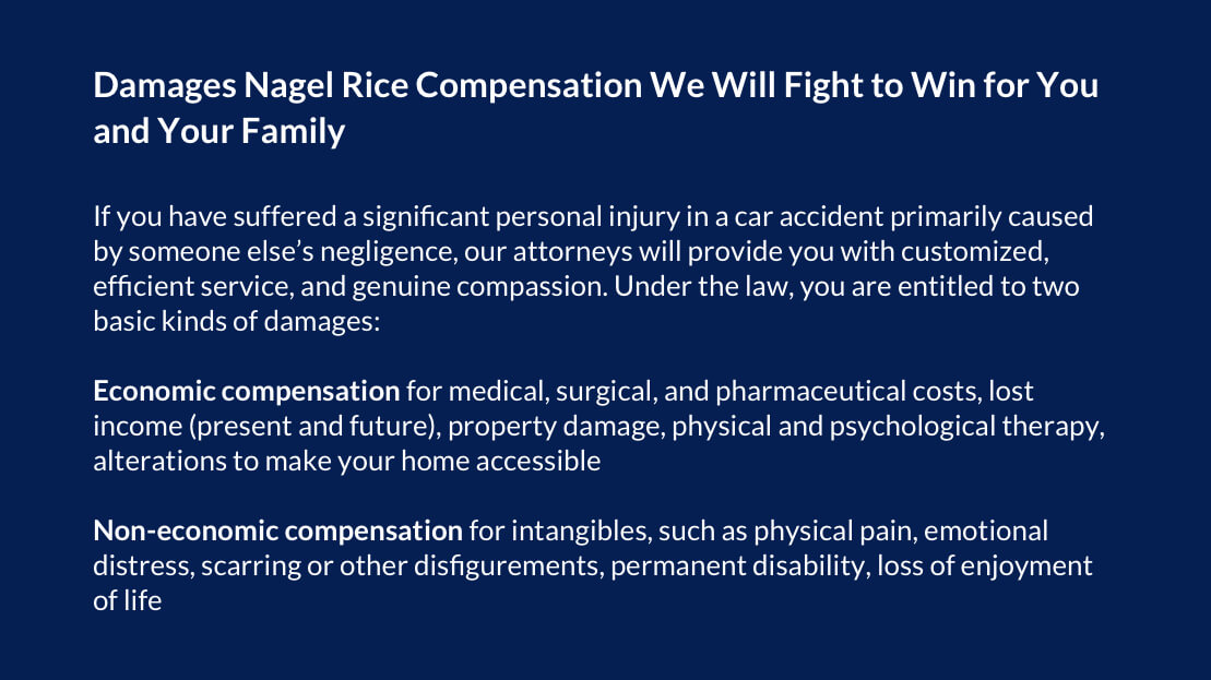 Damages Nagel Rice Compensation We Will Fight to Win for You and Your Family