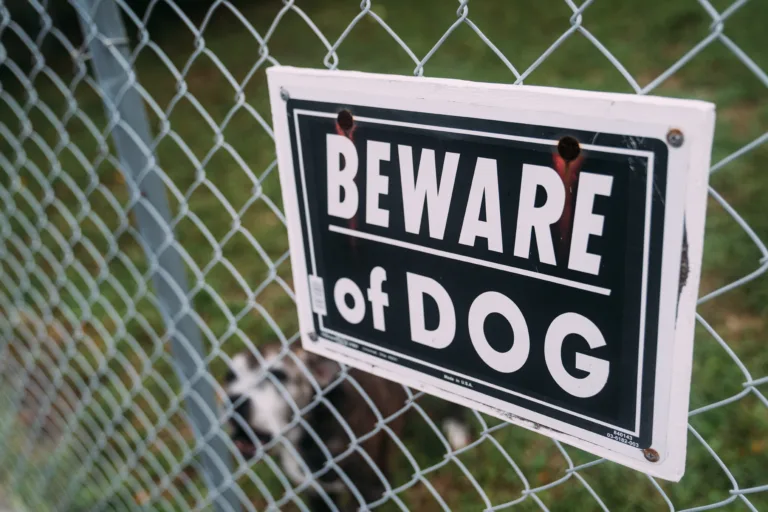 beware of dog sign